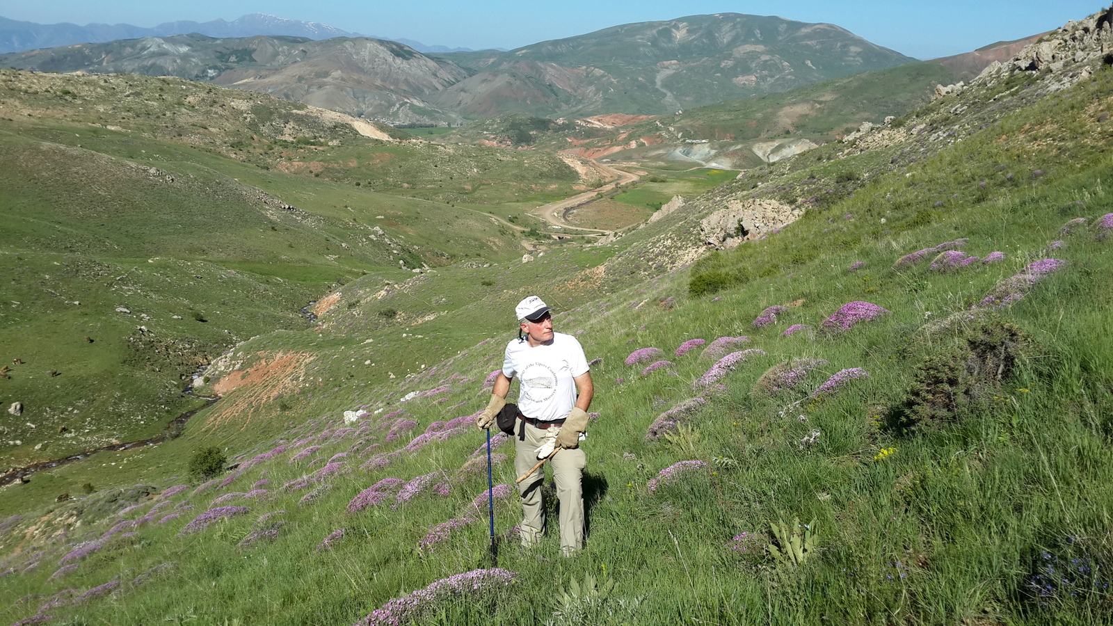 Mecidiye east  Erzincan Province, Turkey  (2)